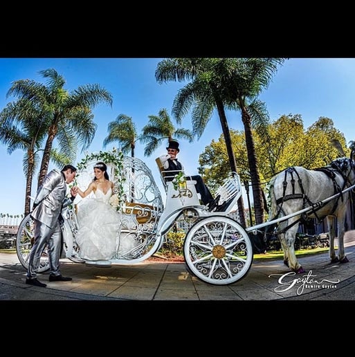 Gallery photo 18 of Savannah Rose Carriages