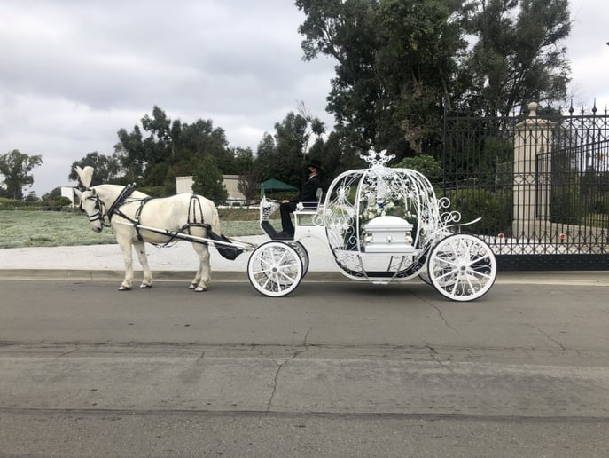 Gallery photo 19 of Savannah Rose Carriages
