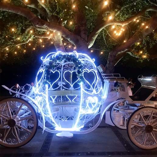 Gallery photo 21 of Savannah Rose Carriages