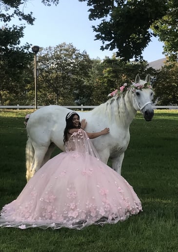 Gallery photo 22 of Savannah Rose Carriages