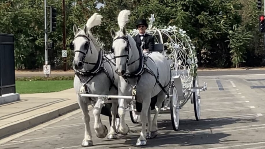 Gallery photo 1 of Savannah Rose Carriages