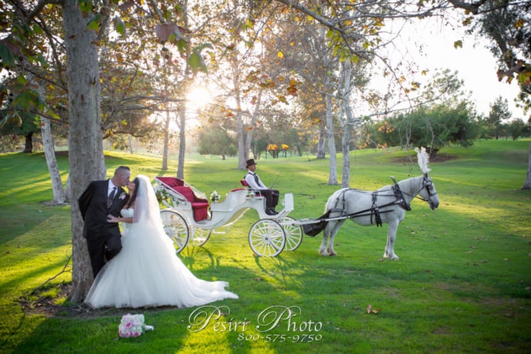 Gallery photo 30 of Savannah Rose Carriages