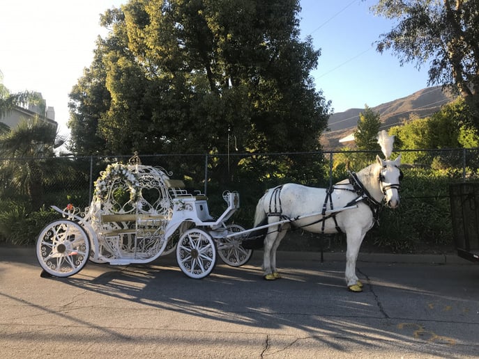Gallery photo 31 of Savannah Rose Carriages