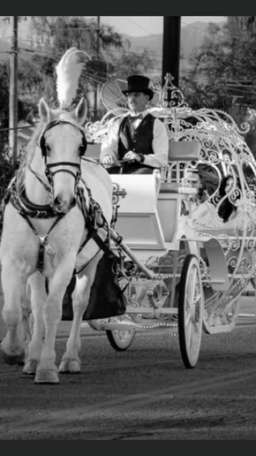 Gallery photo 33 of Savannah Rose Carriages