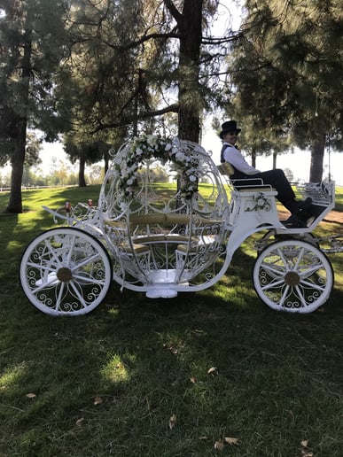 Gallery photo 26 of Savannah Rose Carriages