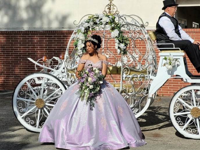 Gallery photo 32 of Savannah Rose Carriages