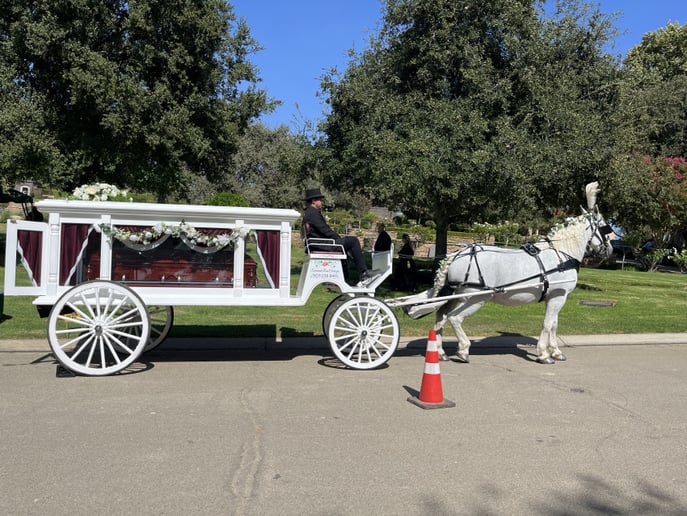 Gallery photo 43 of Savannah Rose Carriages