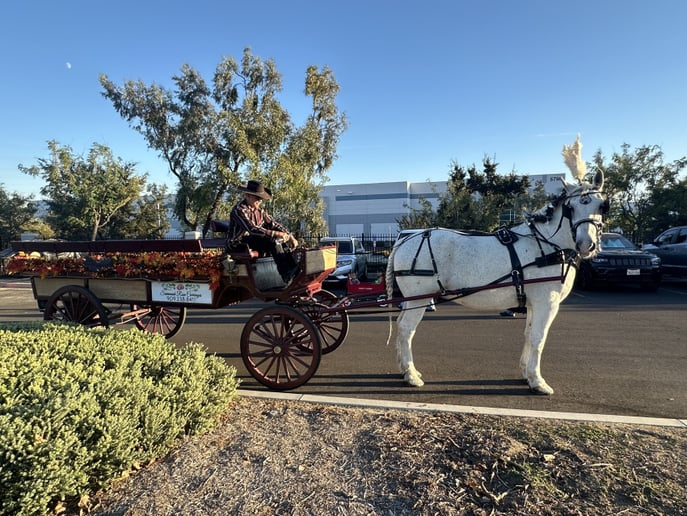 Gallery photo 44 of Savannah Rose Carriages