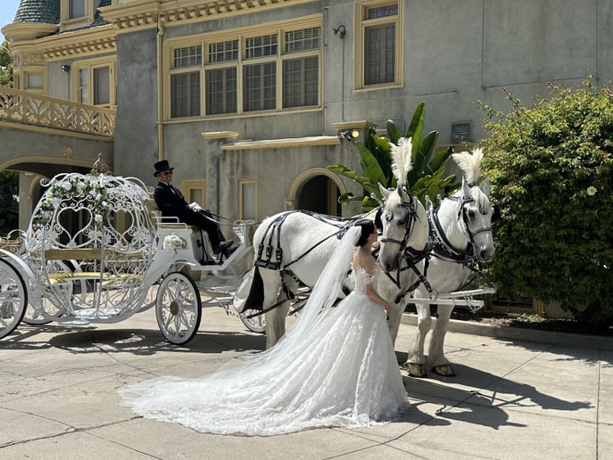 Gallery photo 49 of Savannah Rose Carriages