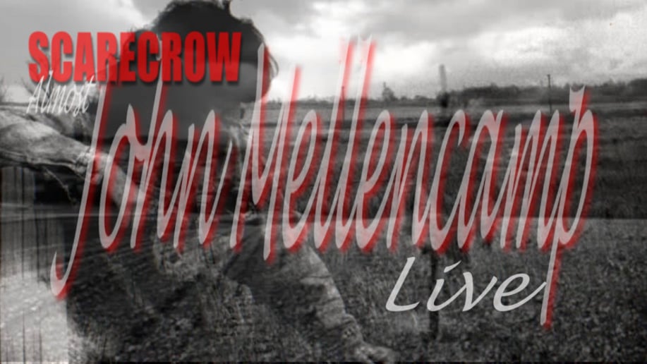 Gallery photo 6 of Scarecrow