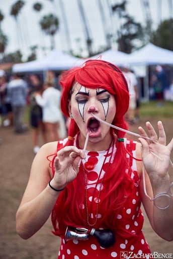Gallery photo 7 of Scarlet Checkers