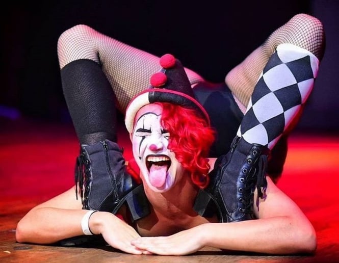 Gallery photo 5 of Scarlet Checkers