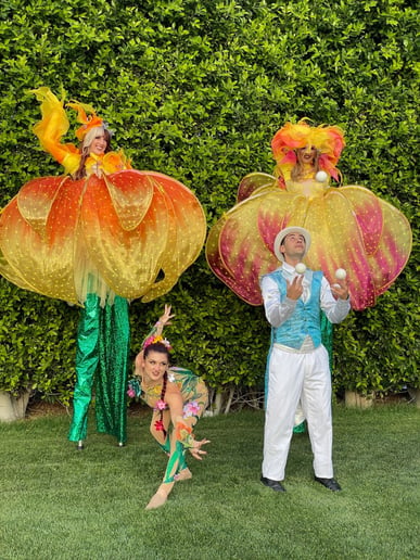 Gallery photo 3 of Cirque Lunaire