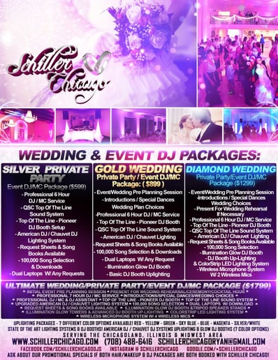 Gallery photo 5 of Schiller Chicago Weddings & Event DJS