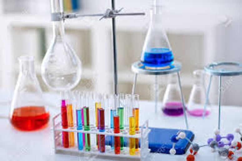 Gallery photo 8 of Science Experiments