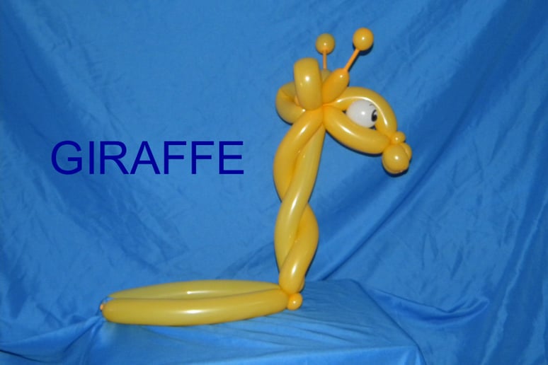 Gallery photo 6 of Scoop The Balloonatic