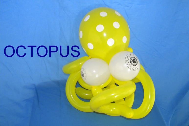 Gallery photo 9 of Scoop The Balloonatic