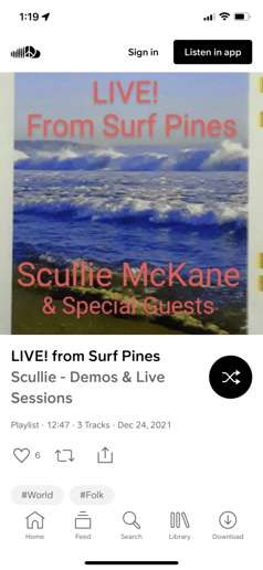 Gallery photo 5 of Scullie & The Skeptics