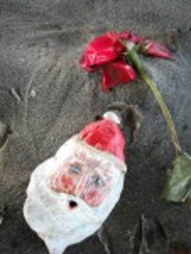 Gallery photo 24 of Seashell Santas