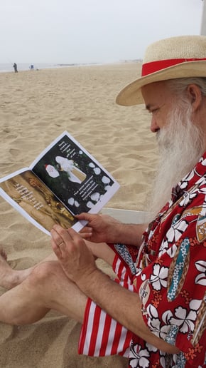 Gallery photo 21 of Seashell Santas