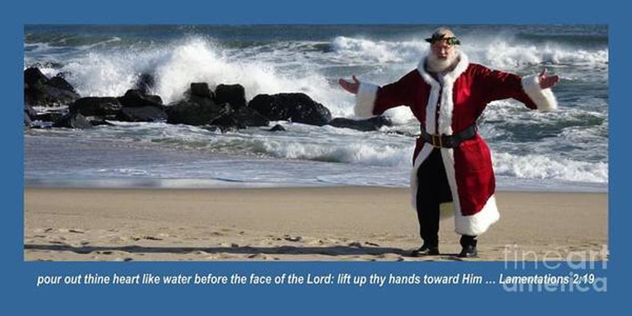 Gallery photo 10 of Seashell Santas