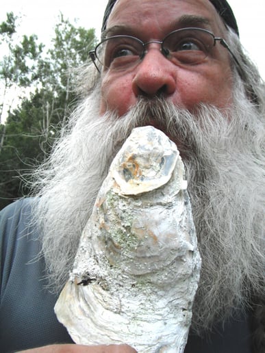 Gallery photo 23 of Seashell Santas