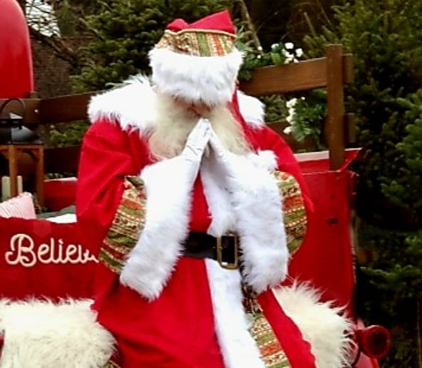 Gallery photo 95 of Seashell Santas