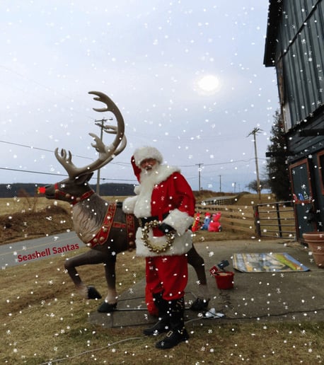 Gallery photo 93 of Seashell Santas
