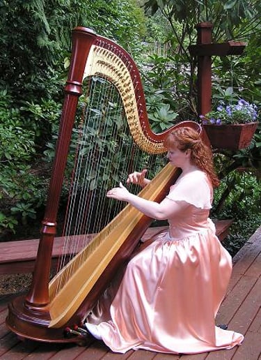 Gallery photo 2 of Seattle Weddings - Harp & Harp and Flute