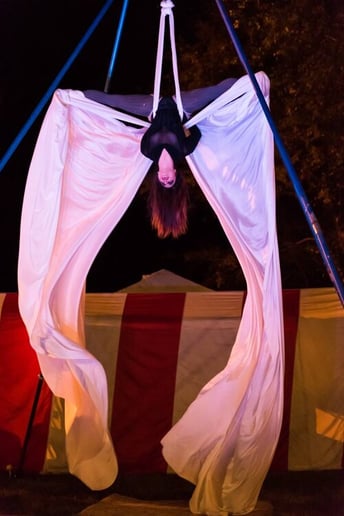 Gallery photo 15 of Secret Cirkus