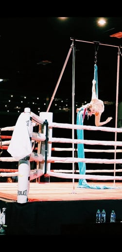 Gallery photo 4 of Secret Cirkus