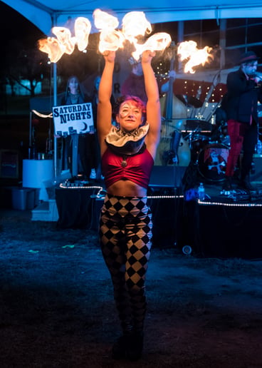 Gallery photo 8 of Secret Cirkus