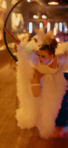 Gallery photo 1 of Secret Cirkus