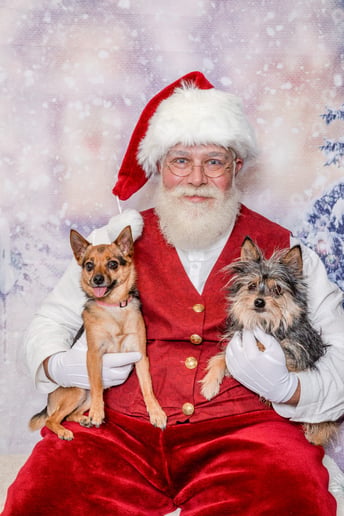 Gallery photo 3 of Santa C