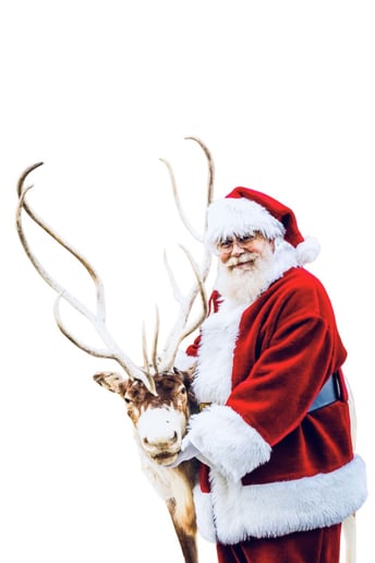 Gallery photo 7 of Santa C