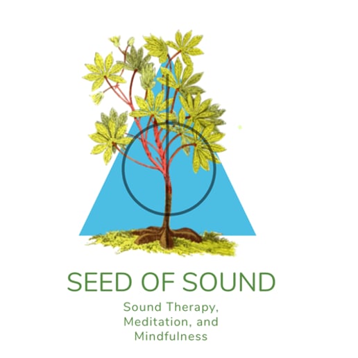 Gallery photo 2 of Seed Of Sound