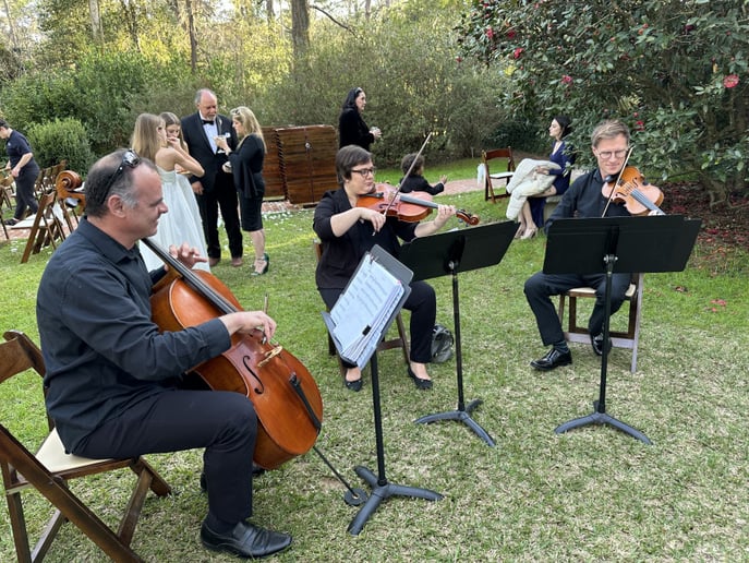 Gallery photo 5 of Seiler Strings
