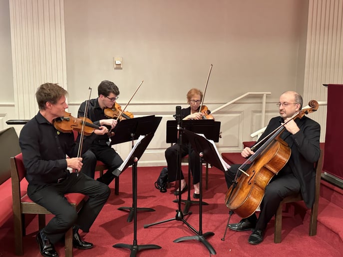 Gallery photo 6 of Seiler Strings