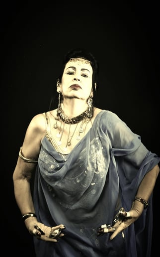 Gallery photo 4 of Selena Kareena/ Belly dancer/ Arabian Nights Ent.
