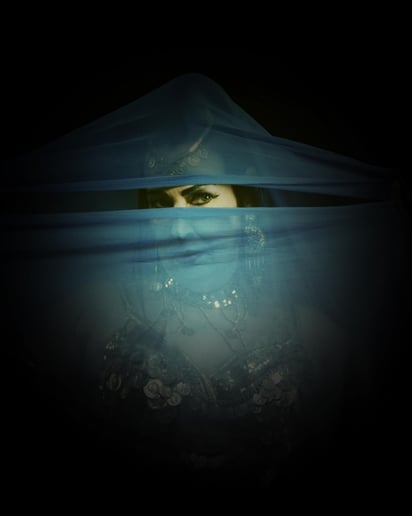Gallery photo 9 of Selena Kareena/ Belly dancer/ Arabian Nights Ent.