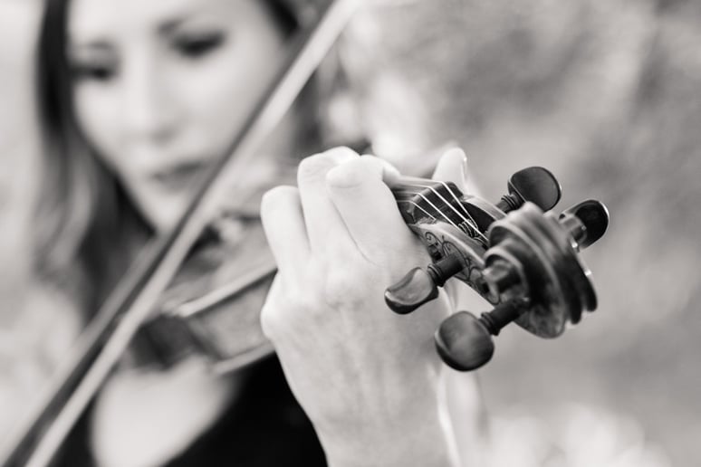 Gallery photo 10 of Selin Eskandarian Violinist