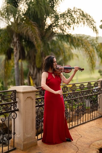 Gallery photo 1 of Seraphina's Quartet & Ensemble