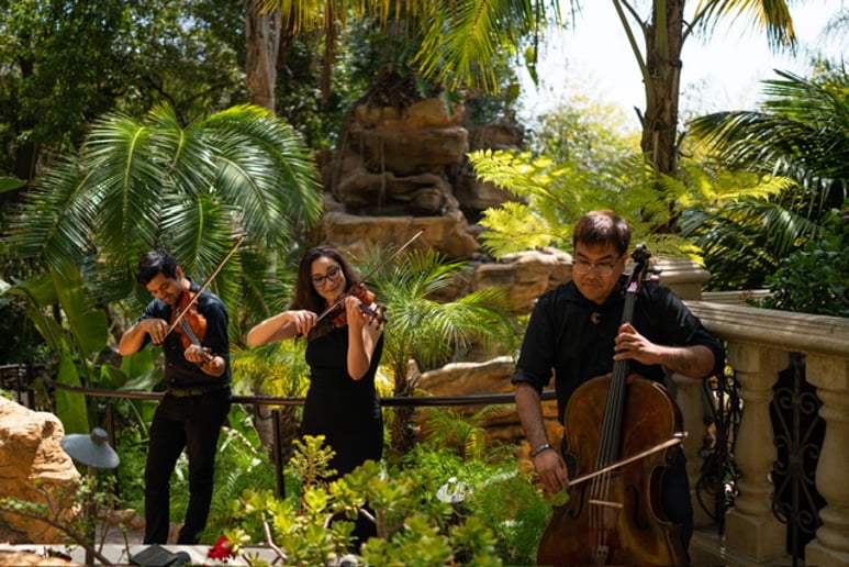 Gallery photo 6 of Seraphina's Quartet & Ensemble