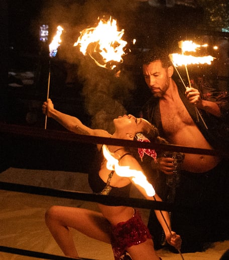 Gallery photo 9 of Seraphoenyx - The Fire Priestess