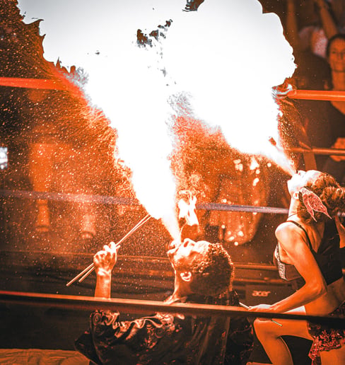 Gallery photo 2 of Seraphoenyx - The Fire Priestess