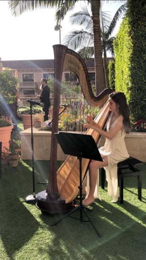 Gallery photo 18 of Serenade Events
