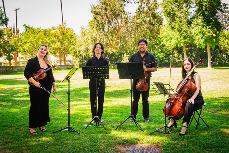 Gallery photo 19 of Serenade Events