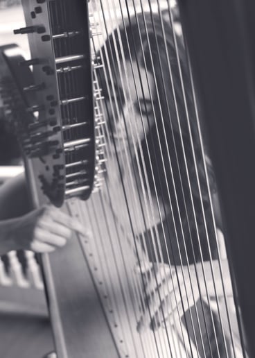 Gallery photo 2 of Serendipitous Strings