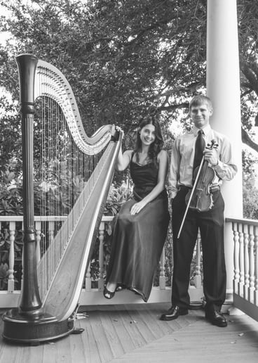 Gallery photo 4 of Serendipitous Strings
