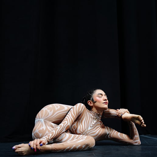 Gallery photo 1 of Serpentine Contortion & Aerial Artist
